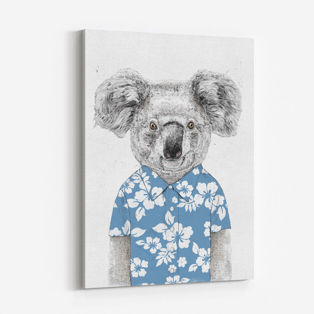 Summer Koala