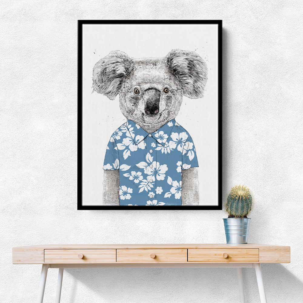 Summer Koala