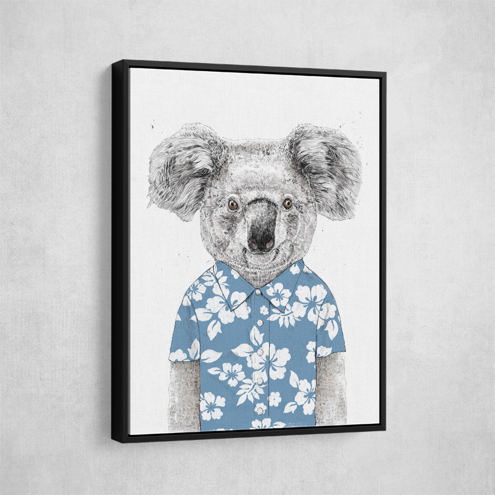 Summer Koala