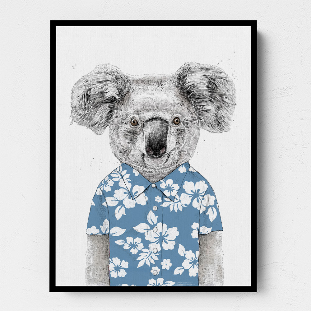 Summer Koala