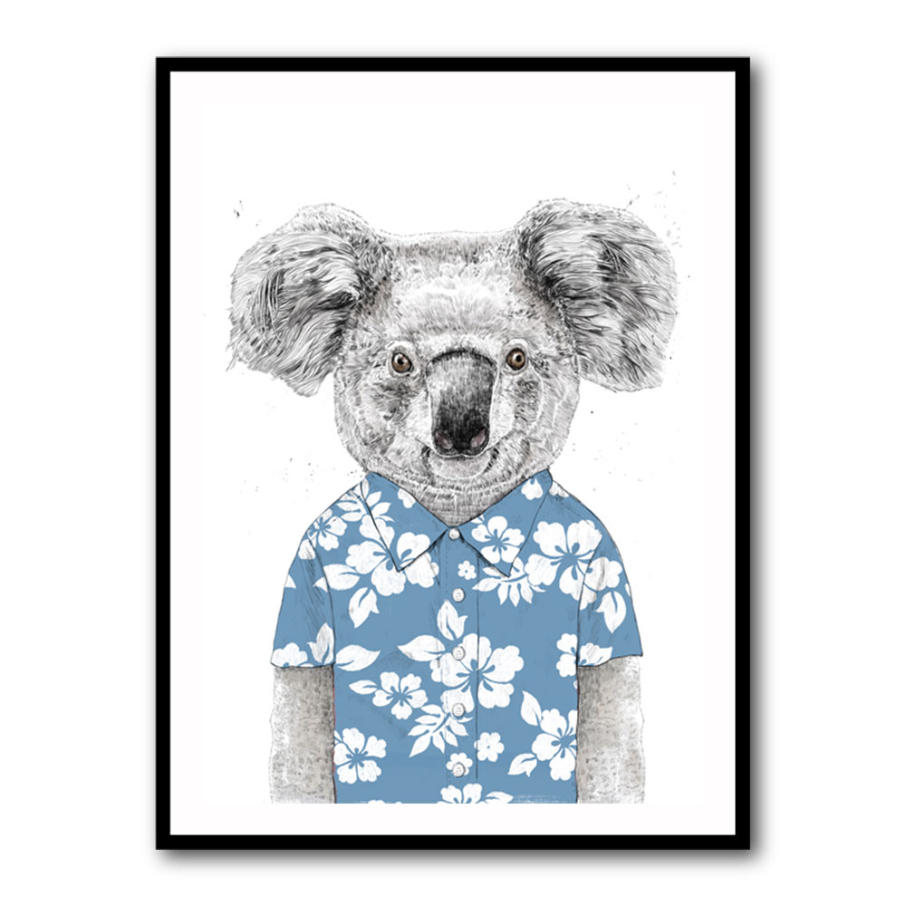 Summer Koala