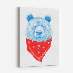 Wild Bear Color