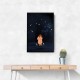 Starlit Solitude
