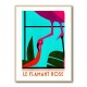 Le Flamant Rose Wall Art Le Flamant Rose Wall Art