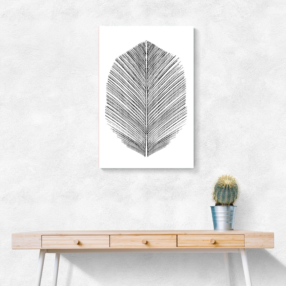 Feather Feather