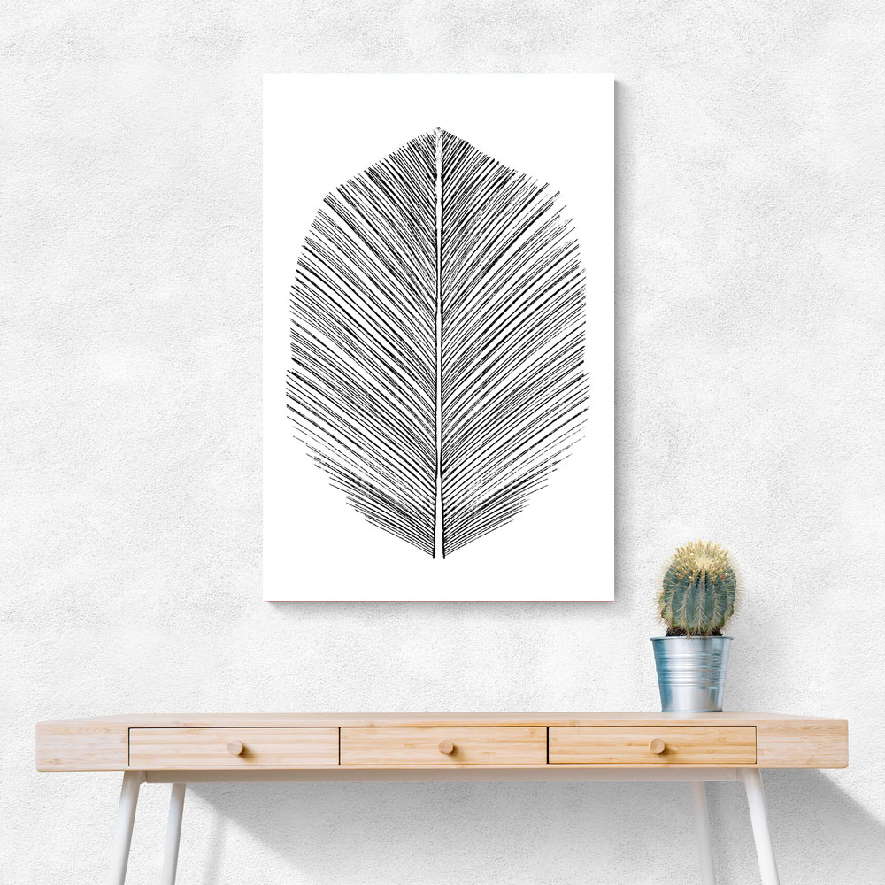 Feather Feather