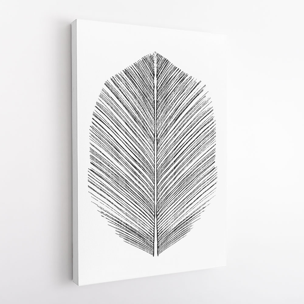 Feather Feather