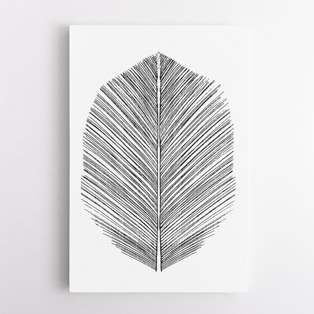 Feather Feather