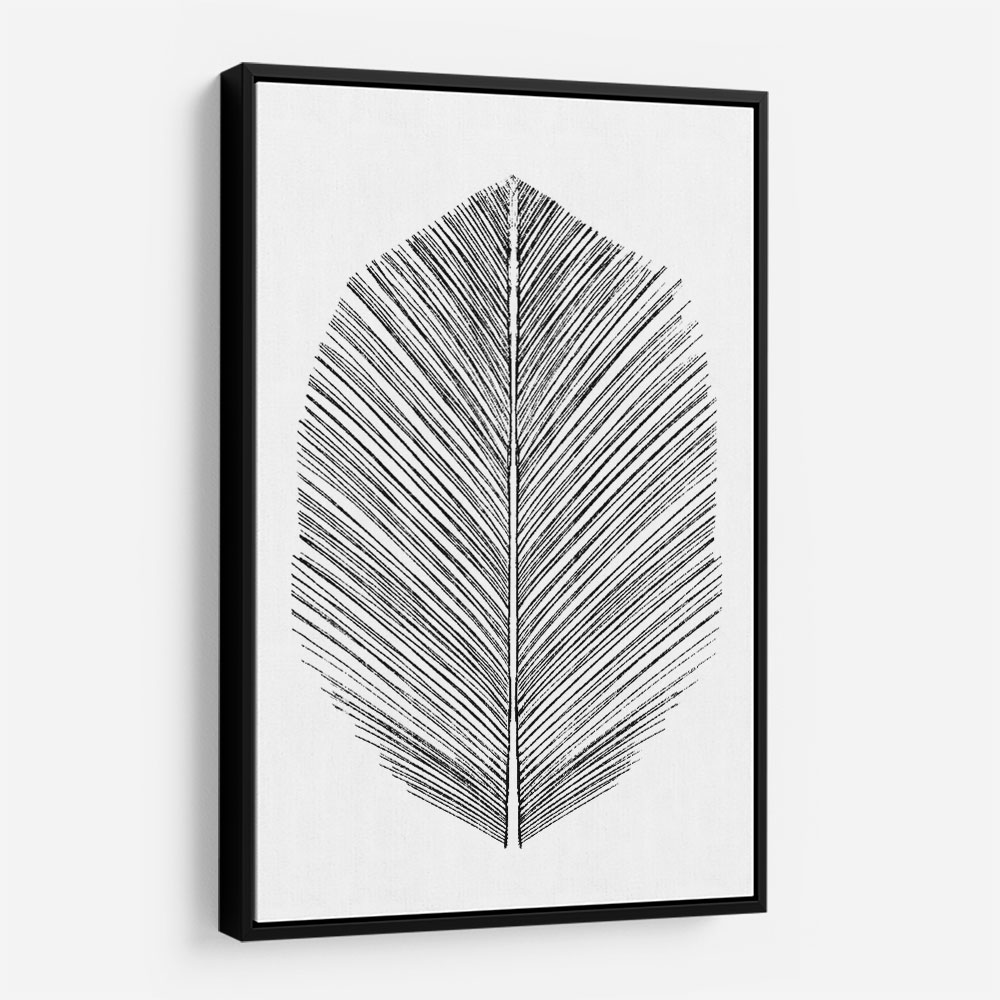 Feather Feather