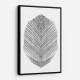 Feather Feather
