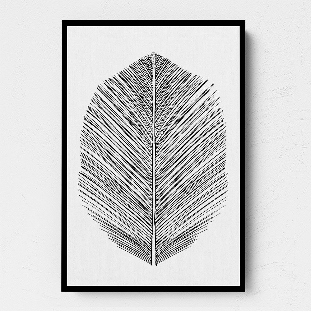 Feather Feather