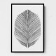 Feather Feather