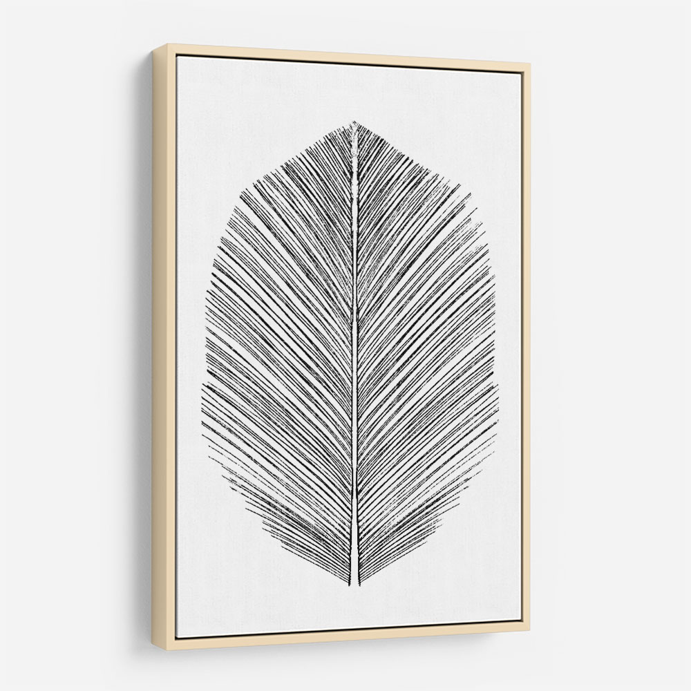 Feather Feather