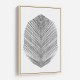 Feather Feather