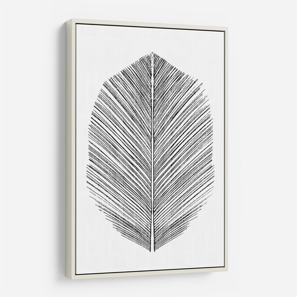 Feather Feather