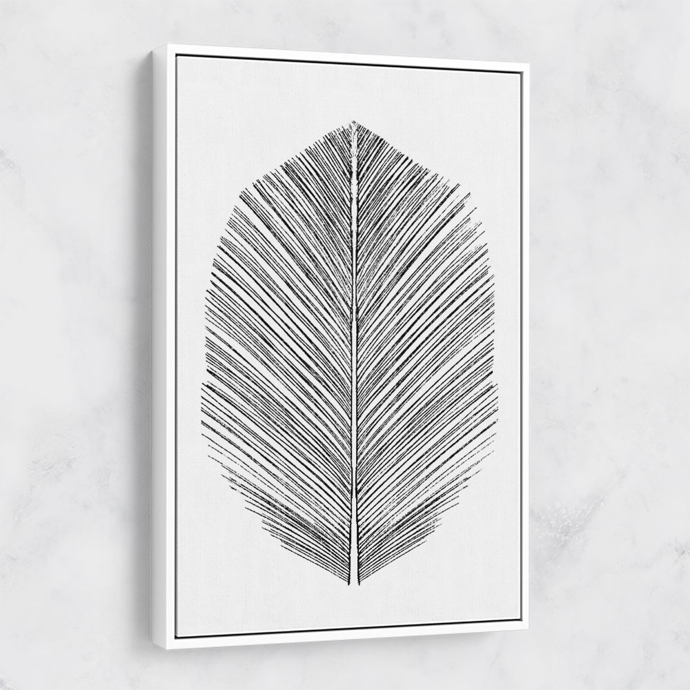 Feather Feather