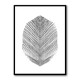 Feather Feather