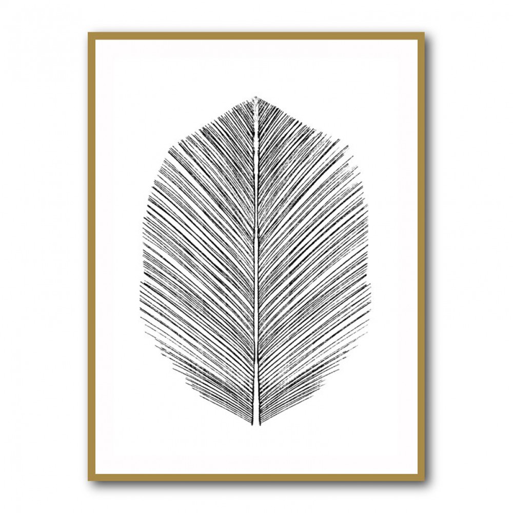 Feather Feather