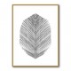 Feather Feather