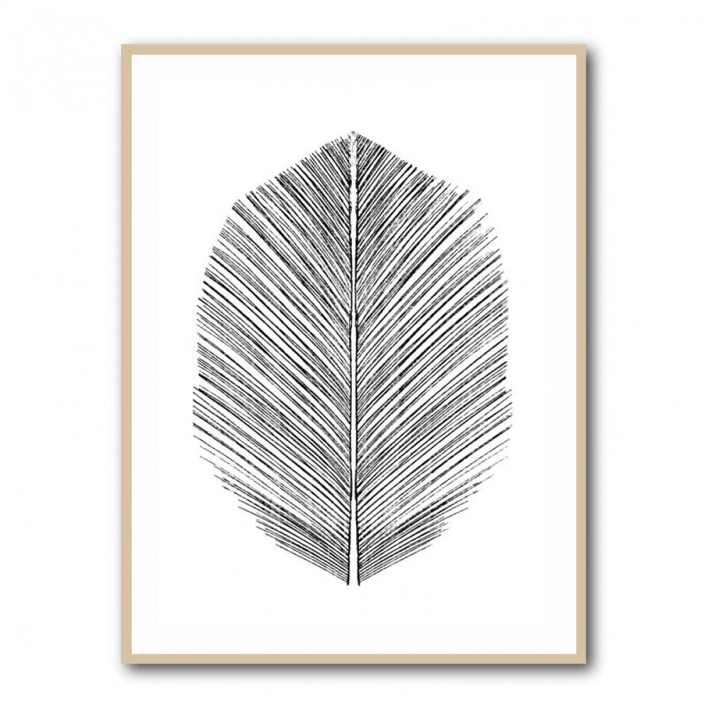 Feather Feather