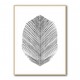 Feather Feather