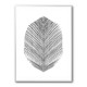 Feather Feather