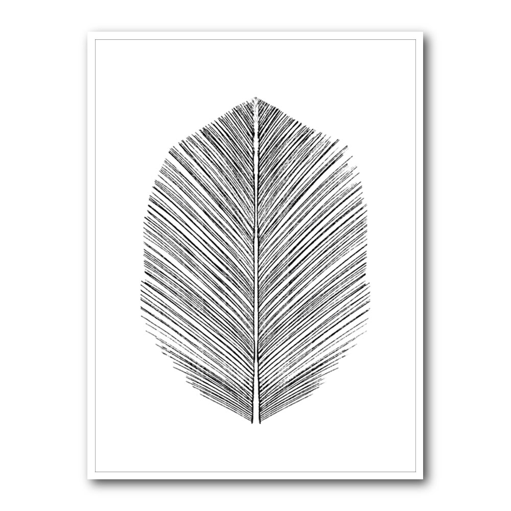 Feather Feather