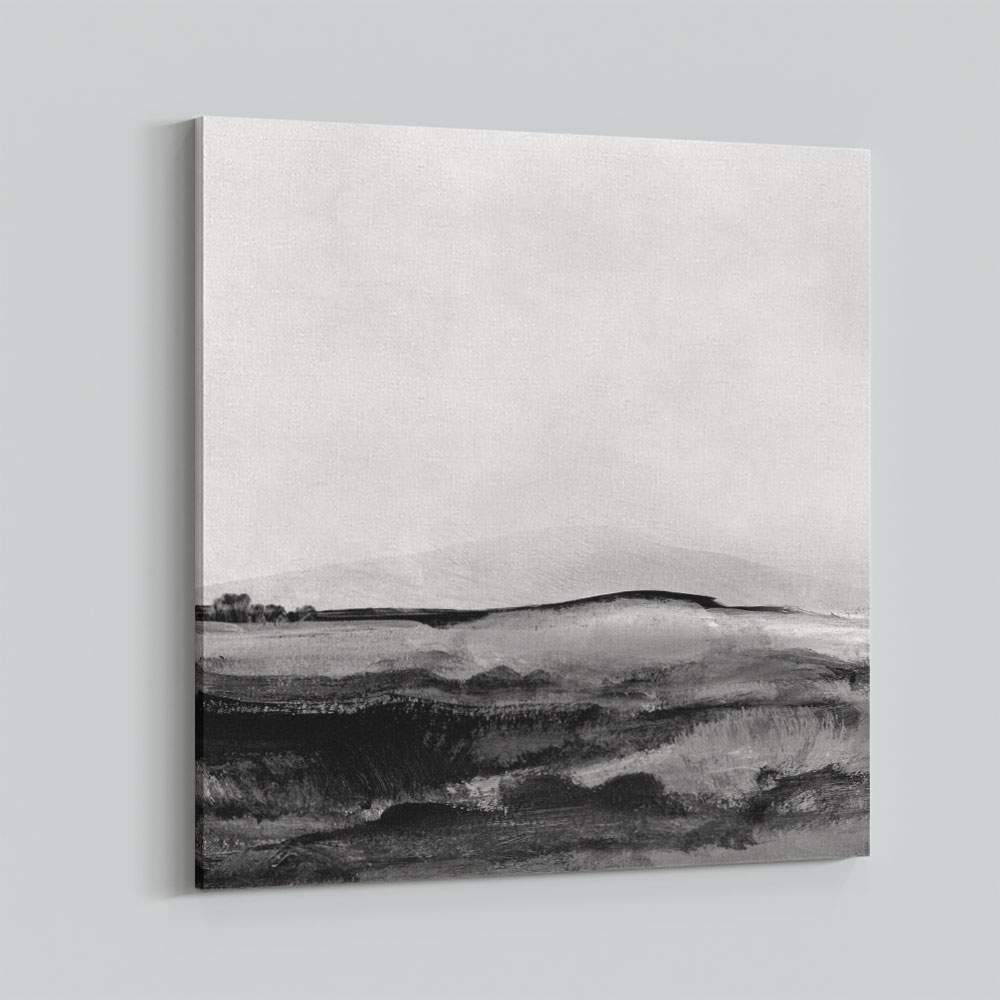 Mono Landscape No1