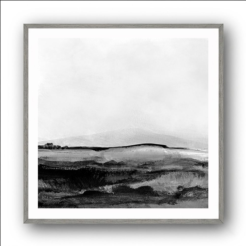 Mono Landscape No1