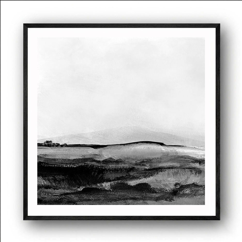 Mono Landscape No1