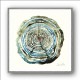 Water Oak Wall Art