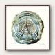 Water Oak Wall Art