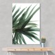 Lush Wall Art Lush Wall Art