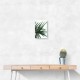 Lush Wall Art Lush Wall Art