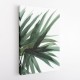 Lush Wall Art Lush Wall Art