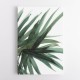 Lush Wall Art Lush Wall Art
