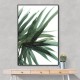 Lush Wall Art Lush Wall Art