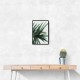 Lush Wall Art Lush Wall Art
