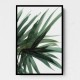 Lush Wall Art Lush Wall Art