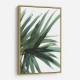 Lush Wall Art Lush Wall Art