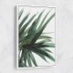 Lush Wall Art Lush Wall Art