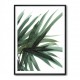 Lush Wall Art