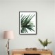 Lush Wall Art Lush Wall Art