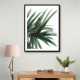 Lush Wall Art Lush Wall Art