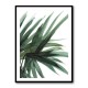 Lush Wall Art Lush Wall Art