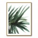 Lush Wall Art Lush Wall Art