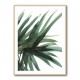 Lush Wall Art Lush Wall Art