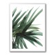 Lush Wall Art Lush Wall Art