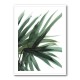 Lush Wall Art Lush Wall Art