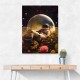 My Space Observatory My Space Observatory